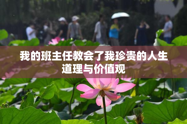 我的班主任教会了我珍贵的人生道理与价值观