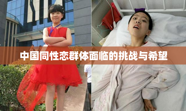 中国同性恋群体面临的挑战与希望