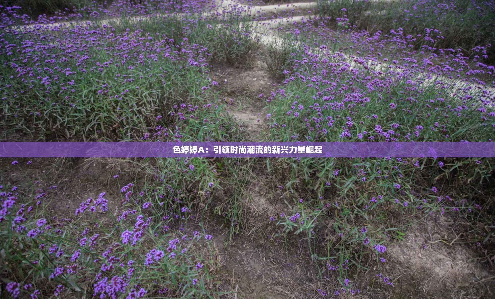色婷婷A：引领时尚潮流的新兴力量崛起