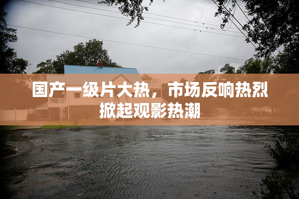 国产一级片大热，市场反响热烈掀起观影热潮