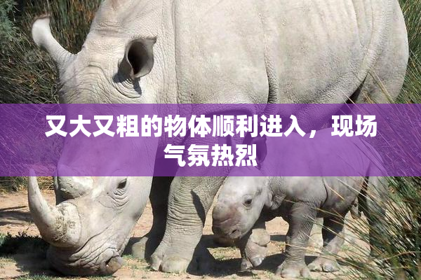 又大又粗的物体顺利进入，现场气氛热烈