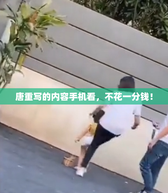 唐重写的内容手机看，不花一分钱！