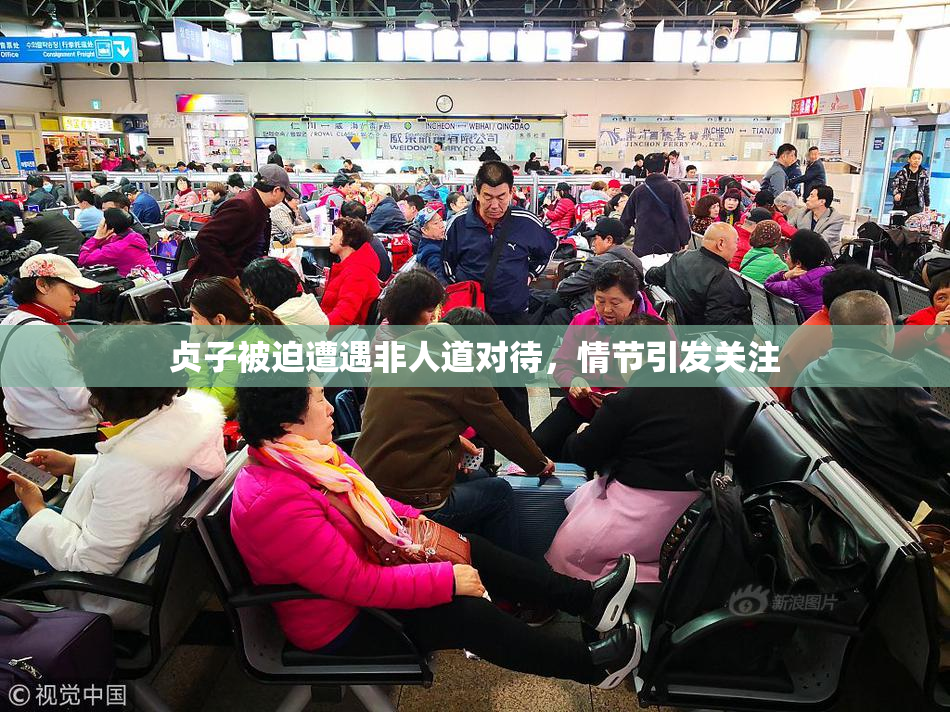 贞子被迫遭遇非人道对待，情节引发关注