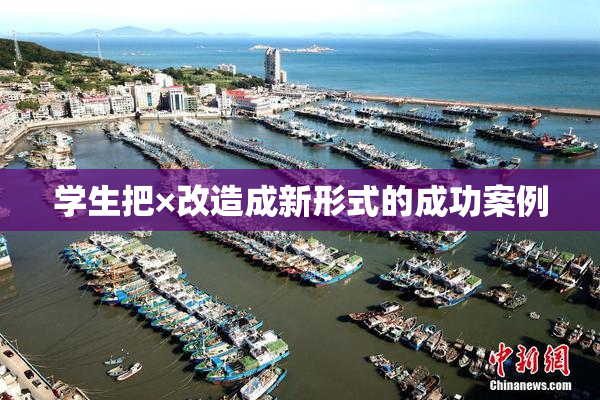 学生把×改造成新形式的成功案例
