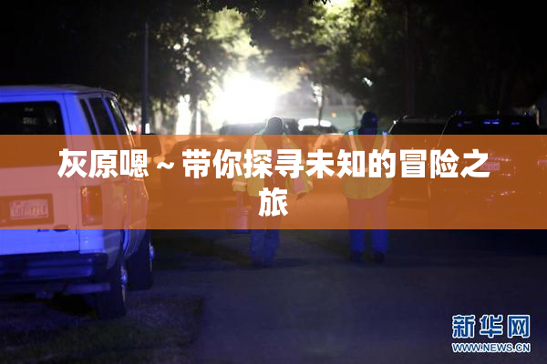 灰原嗯～带你探寻未知的冒险之旅