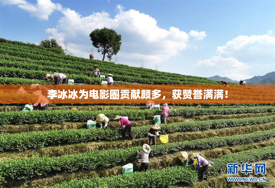 李冰冰为电影圈贡献颇多，获赞誉满满！