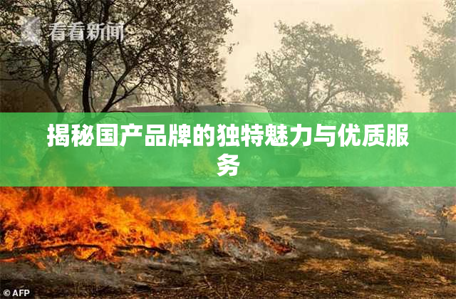 揭秘国产品牌的独特魅力与优质服务