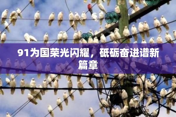 91为国荣光闪耀，砥砺奋进谱新篇章