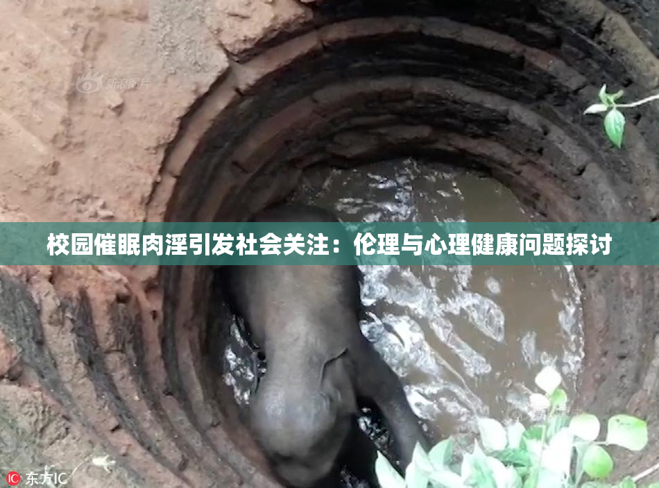 校园催眠肉淫引发社会关注：伦理与心理健康问题探讨