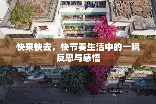 快来快去，快节奏生活中的一瞬反思与感悟