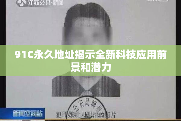 91C永久地址揭示全新科技应用前景和潜力