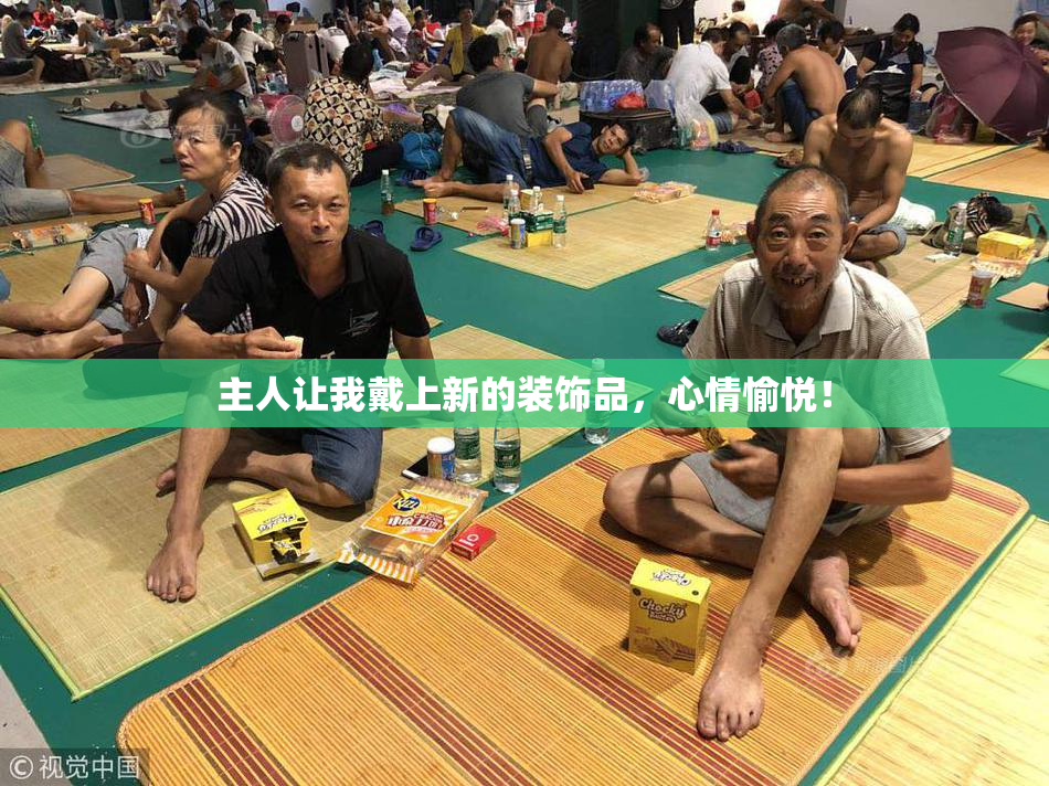 主人让我戴上新的装饰品，心情愉悦！