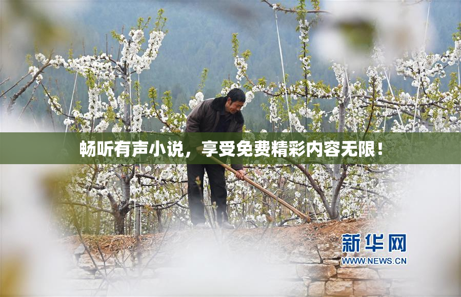 畅听有声小说，享受免费精彩内容无限！