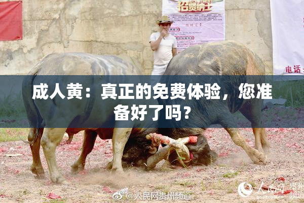 成人黄：真正的免费体验，您准备好了吗？