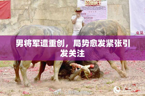 男将军遭重创，局势愈发紧张引发关注