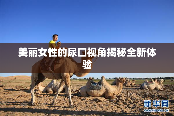 美丽女性的尿囗视角揭秘全新体验