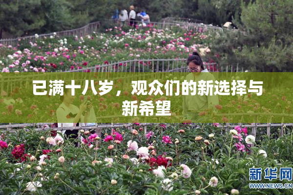 已满十八岁，观众们的新选择与新希望