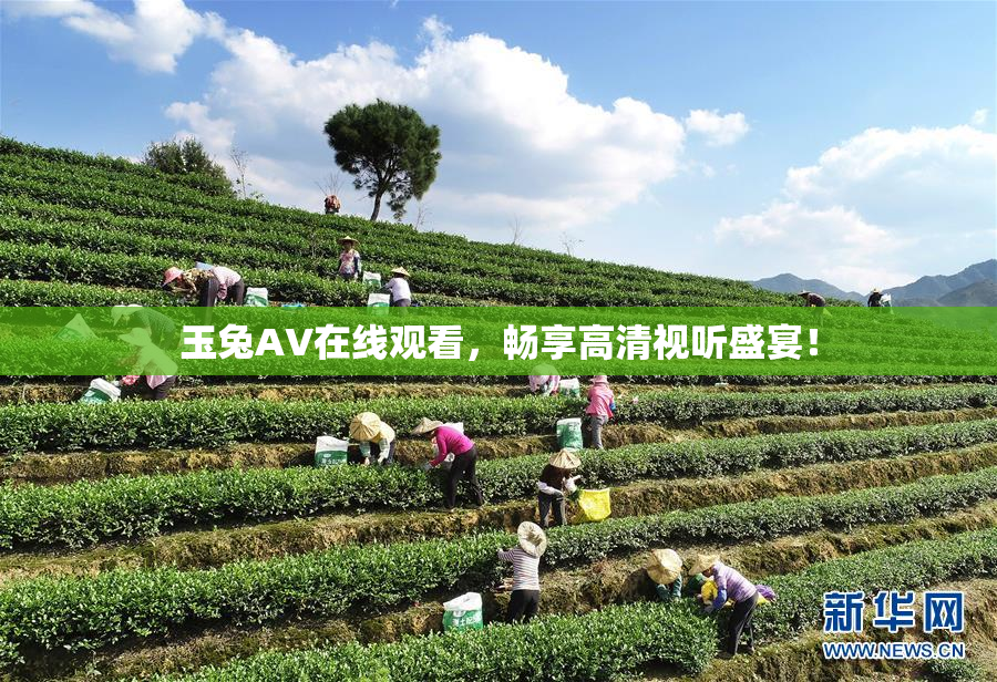 玉兔AV在线观看，畅享高清视听盛宴！