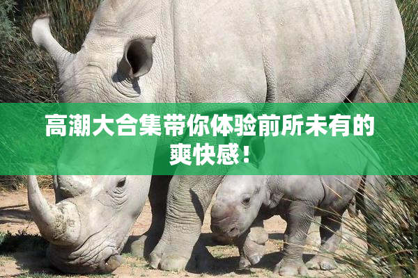 高潮大合集带你体验前所未有的爽快感！