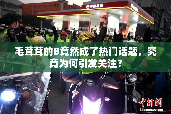 毛茸茸的B竟然成了热门话题，究竟为何引发关注？