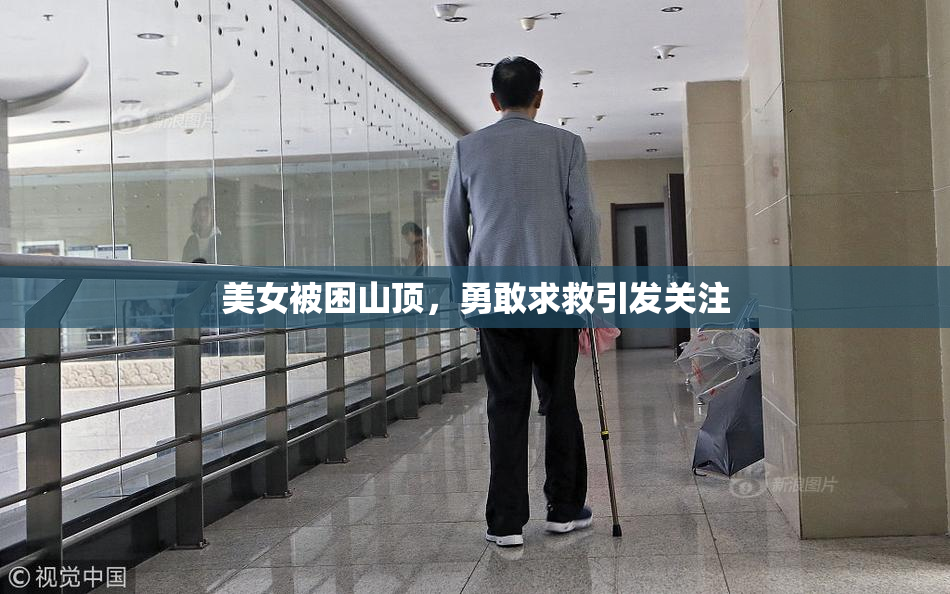 美女被困山顶，勇敢求救引发关注