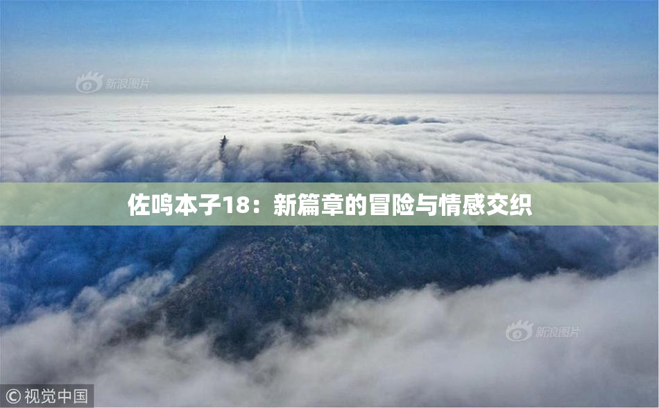 佐鸣本子18：新篇章的冒险与情感交织