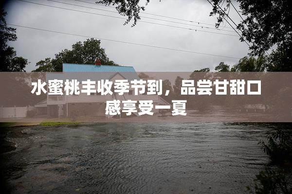 水蜜桃丰收季节到，品尝甘甜口感享受一夏