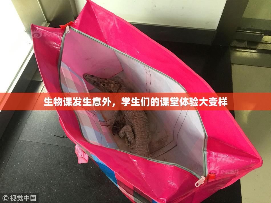 生物课发生意外，学生们的课堂体验大变样