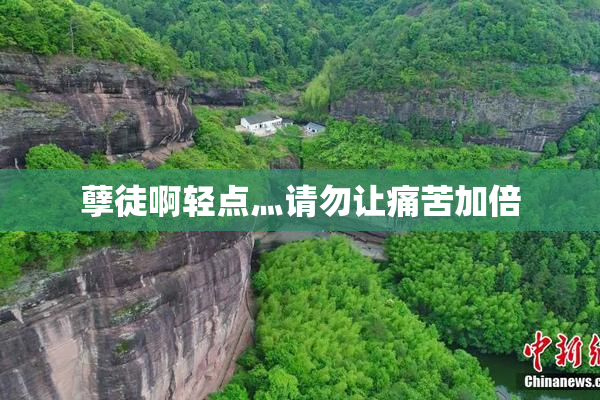 孽徒啊轻点灬请勿让痛苦加倍