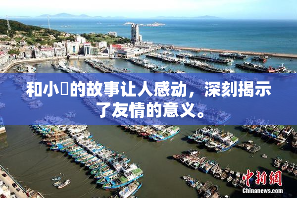 和小娻的故事让人感动，深刻揭示了友情的意义。