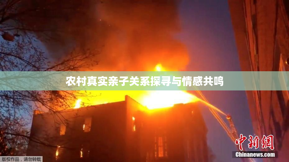农村真实亲子关系探寻与情感共鸣