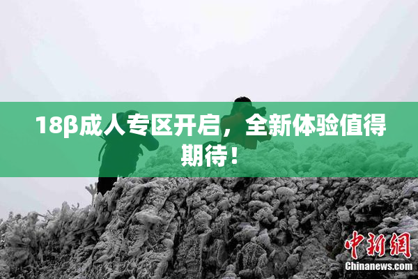 18β成人专区开启，全新体验值得期待！