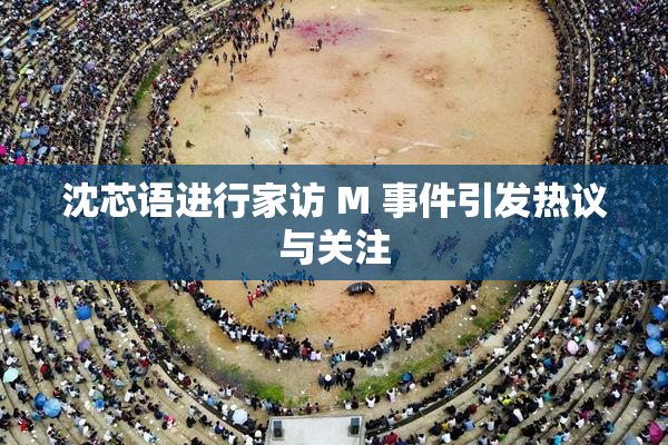 沈芯语进行家访 M 事件引发热议与关注