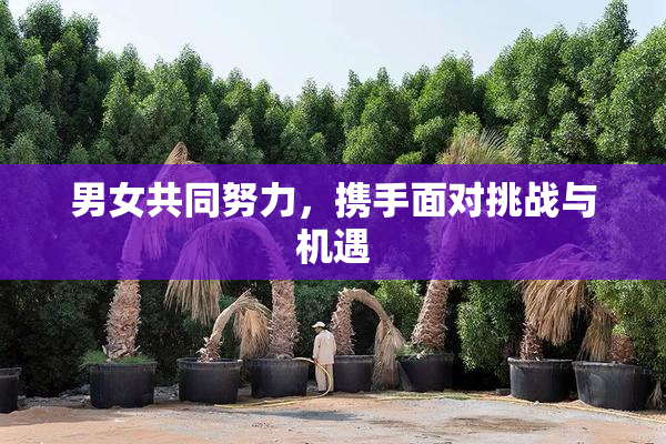 男女共同努力，携手面对挑战与机遇