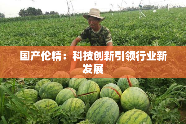 国产伦精：科技创新引领行业新发展