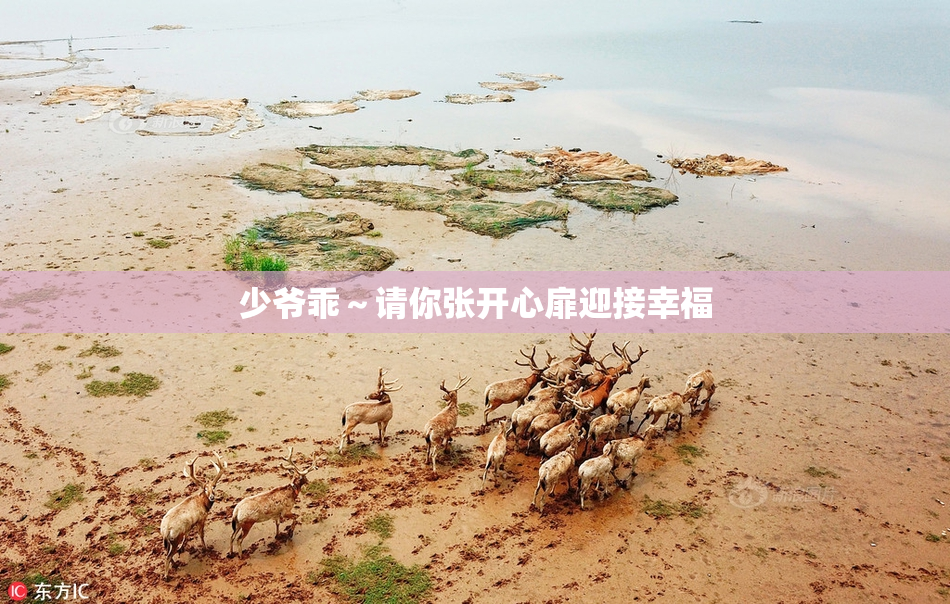 少爷乖～请你张开心扉迎接幸福