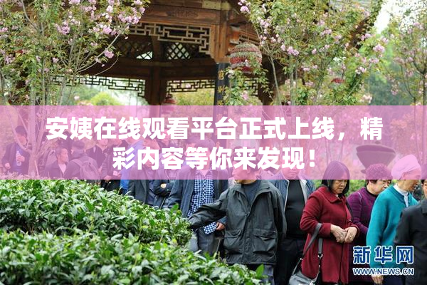 安姨在线观看平台正式上线，精彩内容等你来发现！