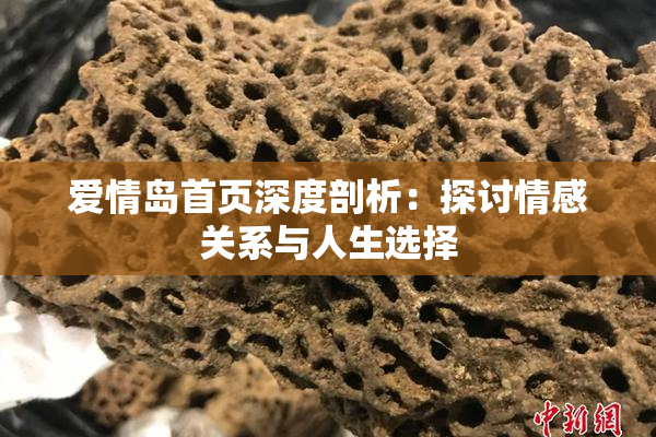 爱情岛首页深度剖析：探讨情感关系与人生选择