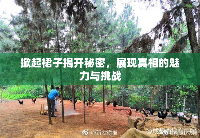 掀起裙子揭开秘密，展现真相的魅力与挑战
