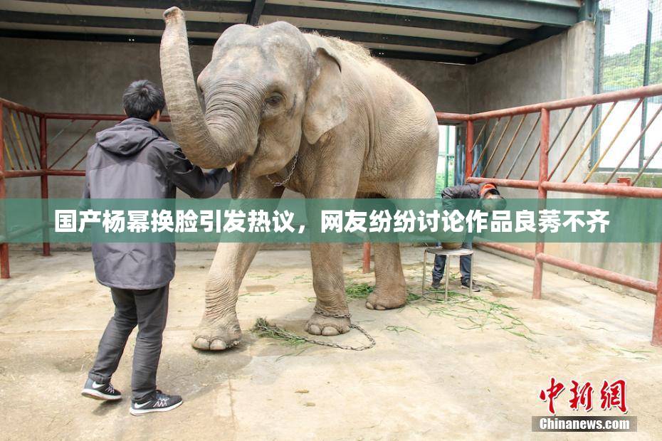 国产杨幂换脸引发热议，网友纷纷讨论作品良莠不齐