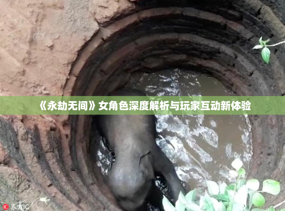 《永劫无间》女角色深度解析与玩家互动新体验
