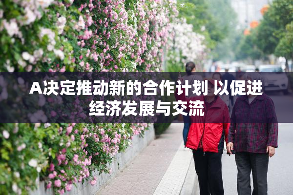 A决定推动新的合作计划 以促进经济发展与交流