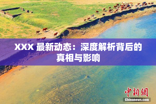 XXX 最新动态：深度解析背后的真相与影响
