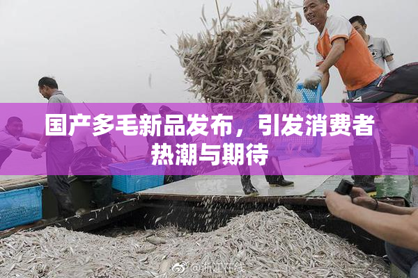国产多毛新品发布，引发消费者热潮与期待
