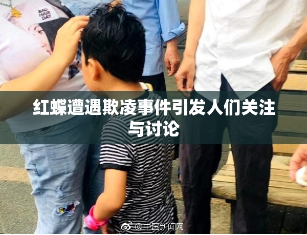 红蝶遭遇欺凌事件引发人们关注与讨论