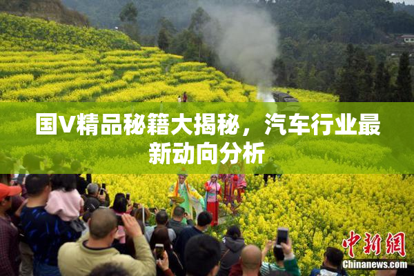国V精品秘籍大揭秘，汽车行业最新动向分析