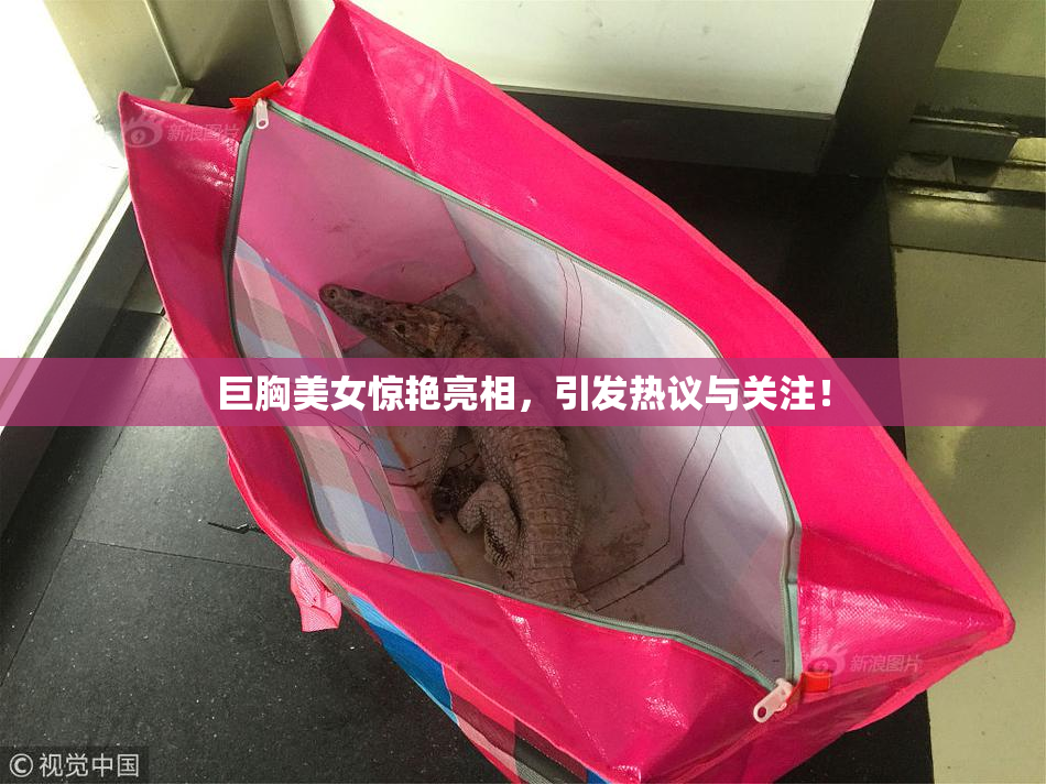 巨胸美女惊艳亮相，引发热议与关注！