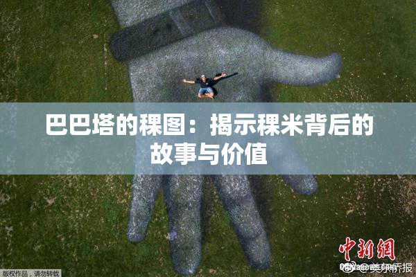 巴巴塔的稞图：揭示稞米背后的故事与价值