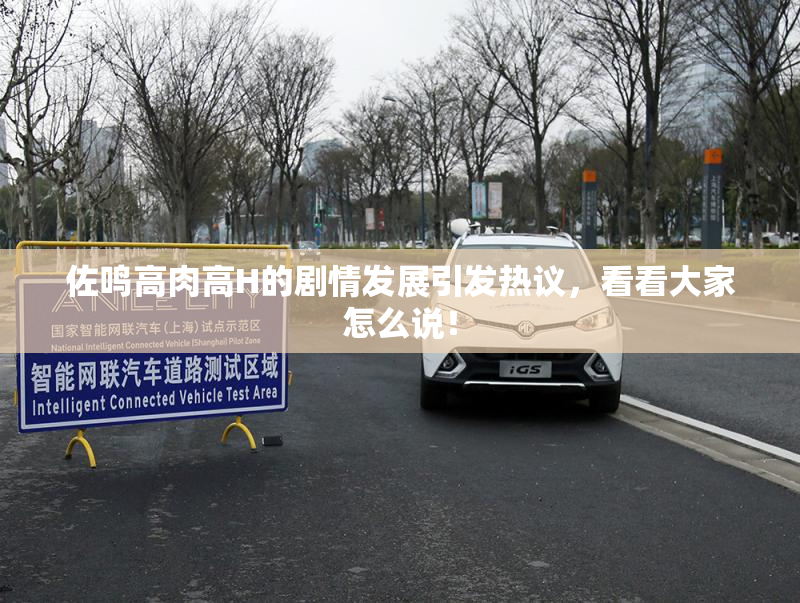佐鸣高肉高H的剧情发展引发热议，看看大家怎么说！