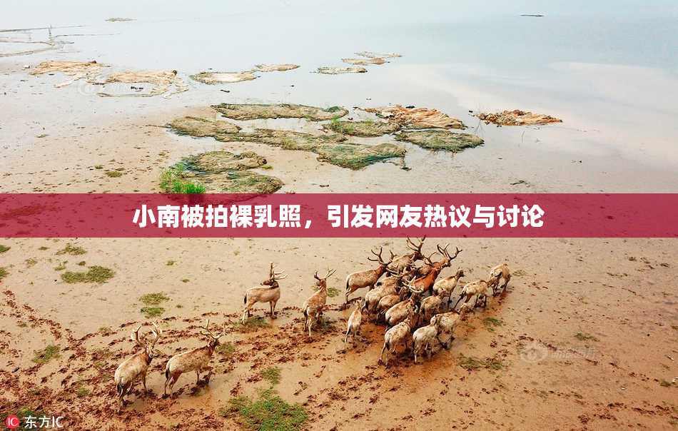 小南被拍裸乳照，引发网友热议与讨论